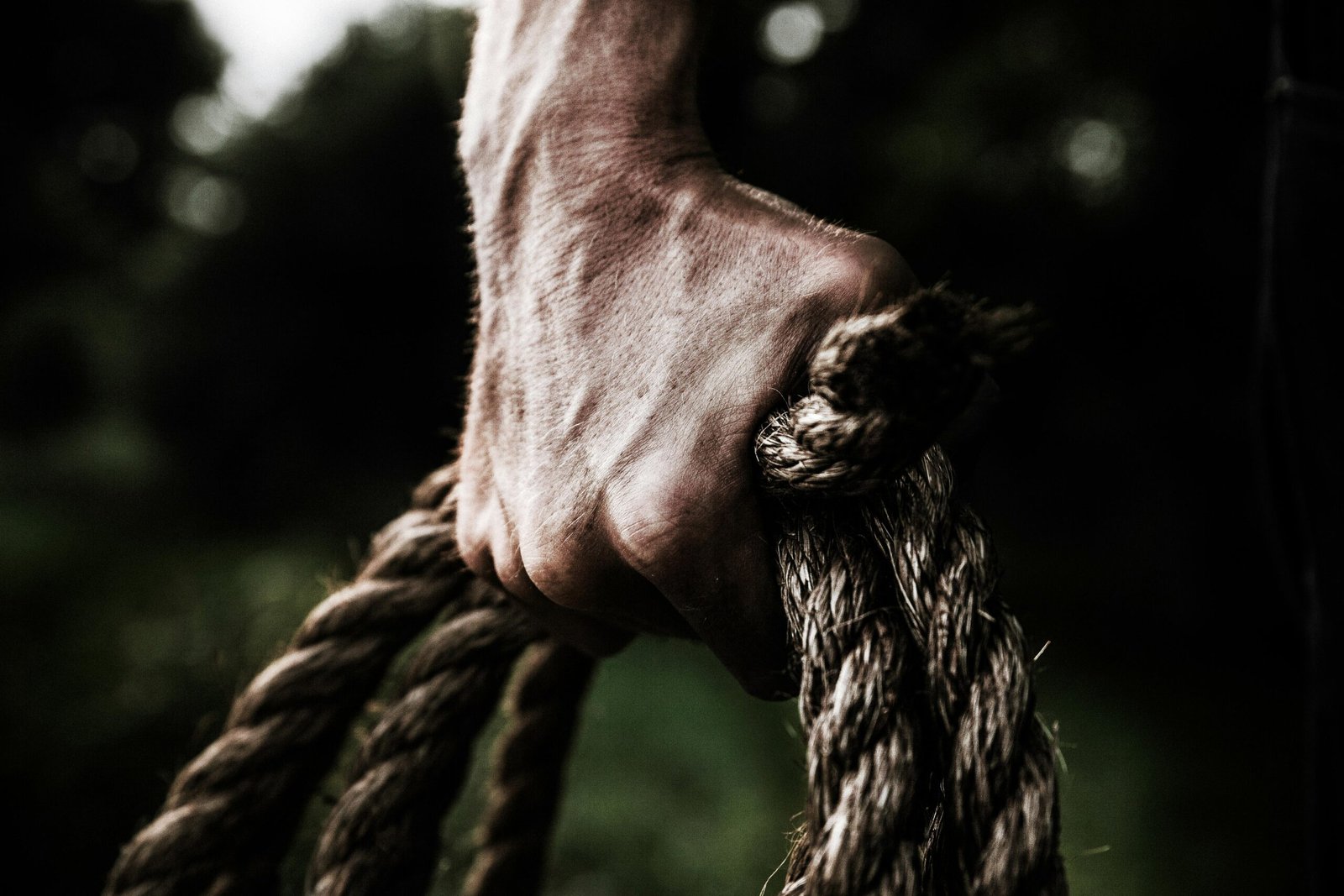 Grip Strength Training: Why It Predicts Longevity
