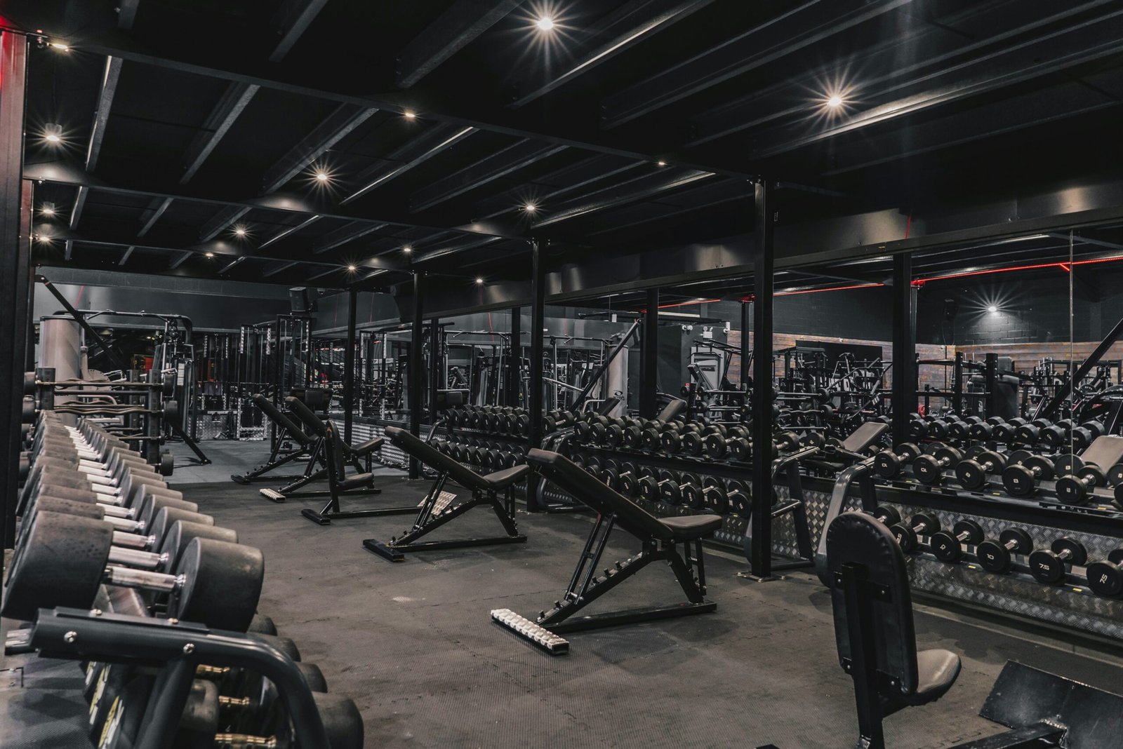 Blog TUT (Time Under Tension) Training: Best Protocols for Growth