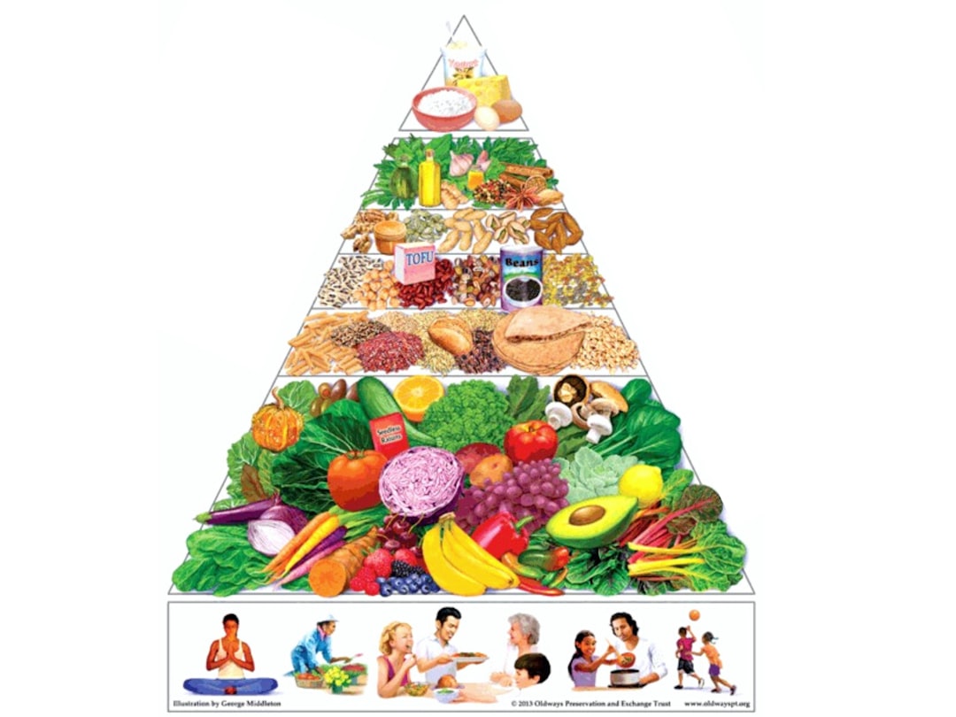 macro nutrition infographic